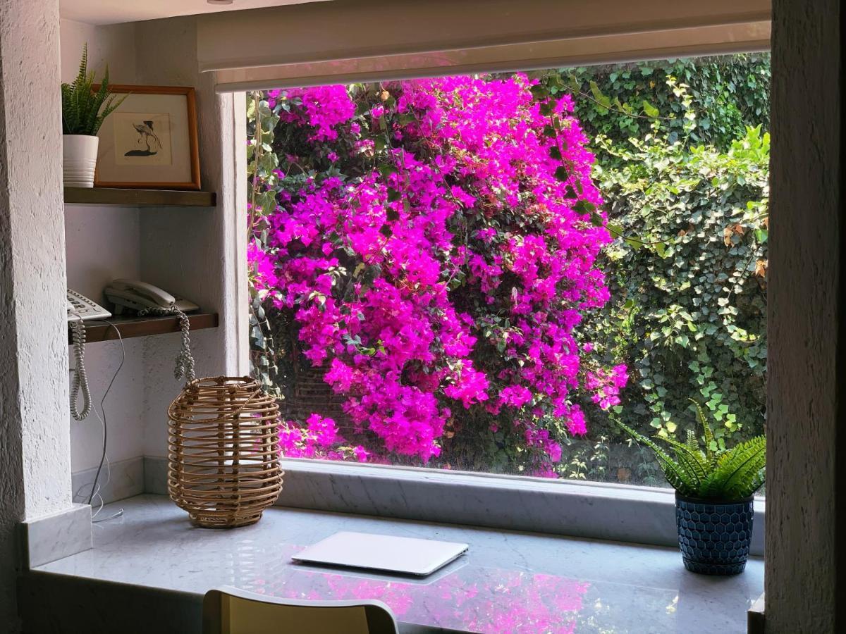 Casa San Angel Inn Boutique Charming House مدينة مكسيكو المظهر الخارجي الصورة